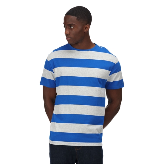 Men s Brayden Stripe T Shirt Lapis Blue Stripe