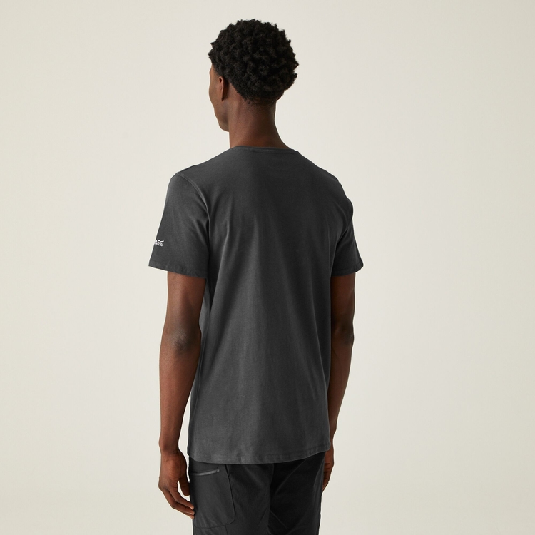 Men's Breezed IV Graphic Print T-Shirt - Ash | Regatta ROW