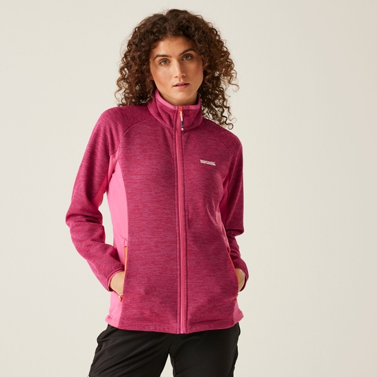 Regatta 【 Women's Highton Pro Full Zip Fleece Womens Women 】 レディース Women's Highton IV Full Zip Fleece - Flamingo Pink | Regatta UK