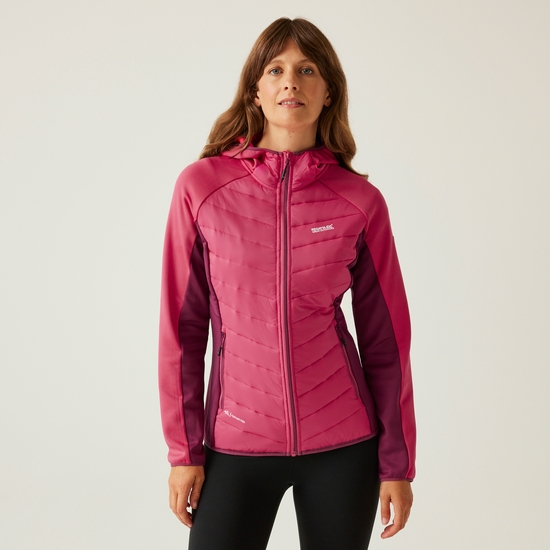 Women's Andreson VIII Hybrid Jacket - Pop/Beaujolais Women's Andreson VIII Hybrid Jacket - Pop/Beaujolais
