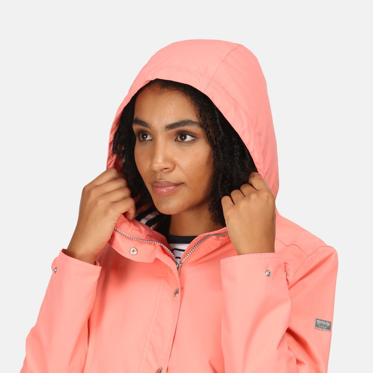 Shell raincoat 2025