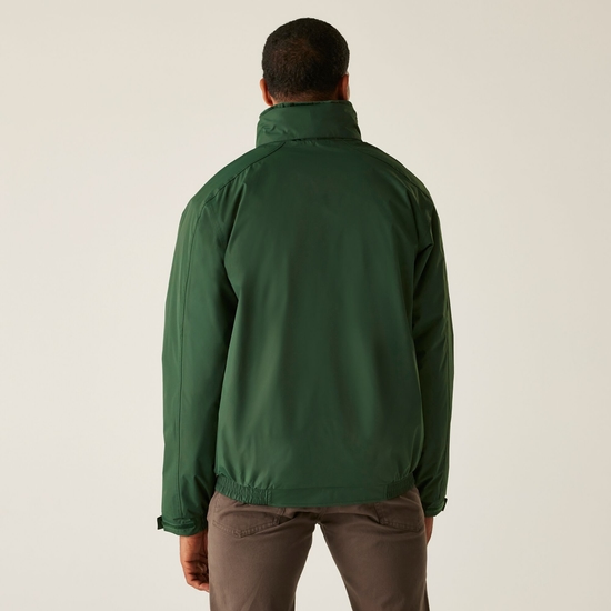 Dover isolierte Grün