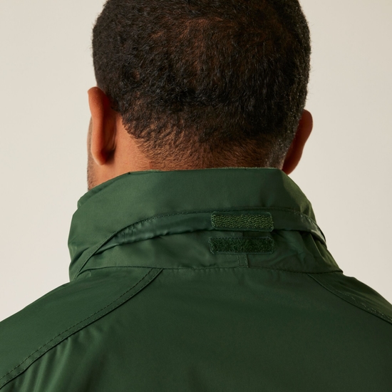 Dover isolierte Grün